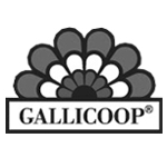 GalliCoop Zrt Szentes