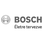 Robert Bosch Elektronikai Kft. Hatvan